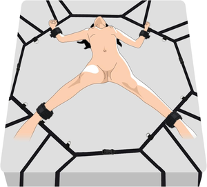 Sex Bondage BDSM Kit Bed Restraints Set, Super Easy Install Sex Rope Adjustable Straps